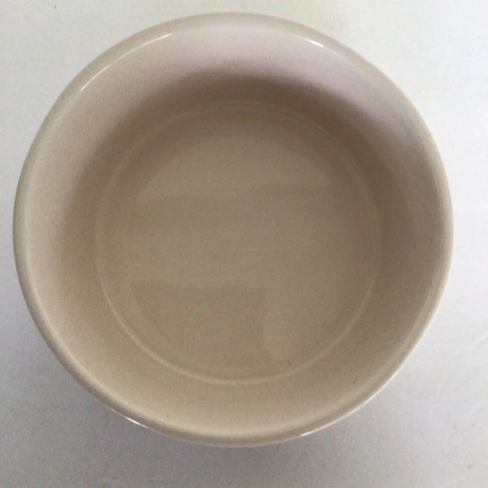 RAE DUNN DOG BOWL